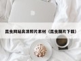汶上昆虫网站高清照片素材（昆虫图片下载）